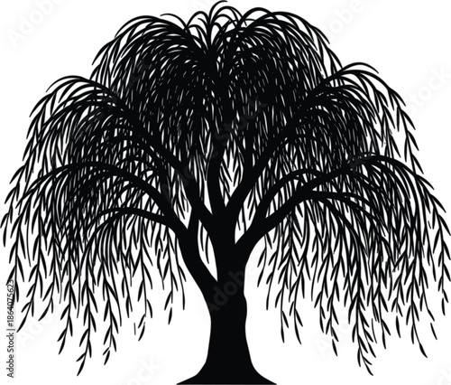 Willow tree silhouette, drooping branches, tranquil nature, black and white design, graceful foliage, peaceful landscape, botanical art, flat vector illustration