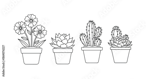 Black and white line art of four different potted plants including flowers, cacti, and succulents for coloring book page.