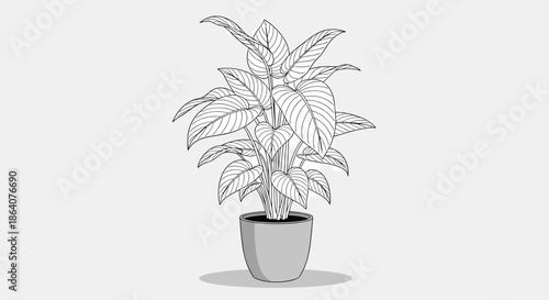 Detailed black and white line drawing of a lush tropical houseplant with large leaves in a simple gray ceramic pot decor.