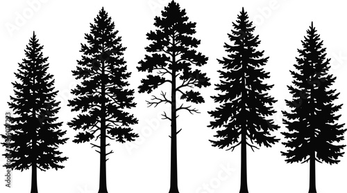 Pine forest tree silhouettes illustration featuring evergreen woodland landscape, nature and wilderness scenery, minimalist black vector artwork isolated.Web