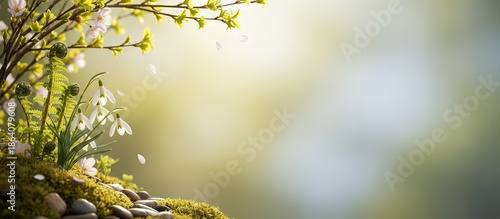 Wallpaper Mural Spring equinox concept with seasonal weather change Torontodigital.ca