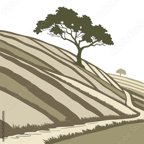 Smooth hillside with layered earth contours and trees