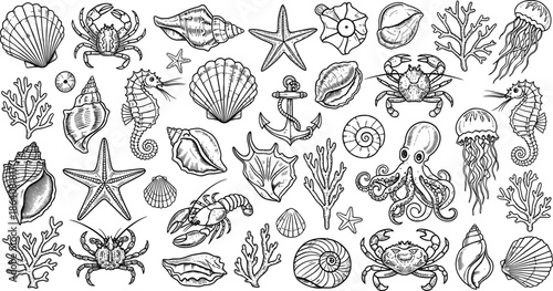 Vintage hand drawn sea life icon set with shells, crabs, seahorses, octopus, jellyfish, starfish, coral, anchor, lobster for marine design