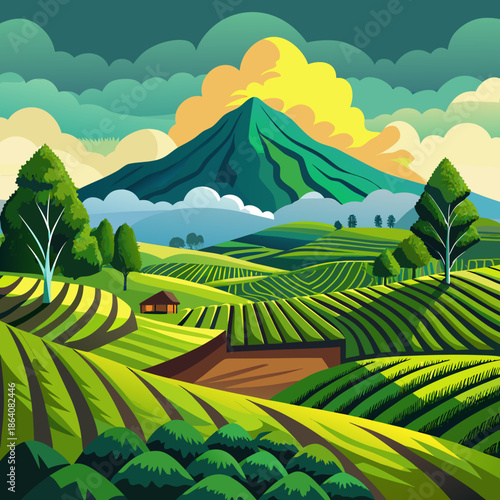 Rolling green tea plantation fields under a cloudy sky. Near Gunung Kerinci Volcano in Kayu Aro, Kerinci Regency, Jambi, Indonesia
