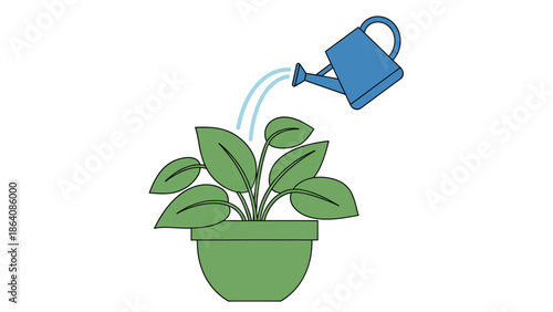 Green potted plant being watered with blue watering can