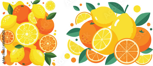 Fresh Citrus Fruit Illustration Set with Orange and Lemon Slices