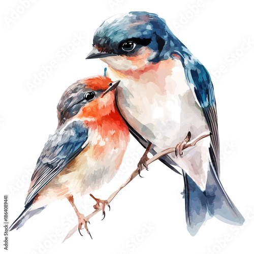 Mother Swallow With Her Kid, high quality watercolor illustration with transparent textures, isolated on a white background.