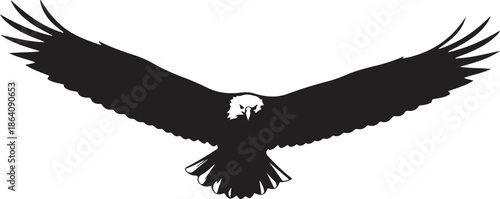 Flying Eagle Silhouette Vector Illustration

Majestic Bald Eagle Black Silhouette Art

Soaring Eagle Wings Spread Silhouette Design