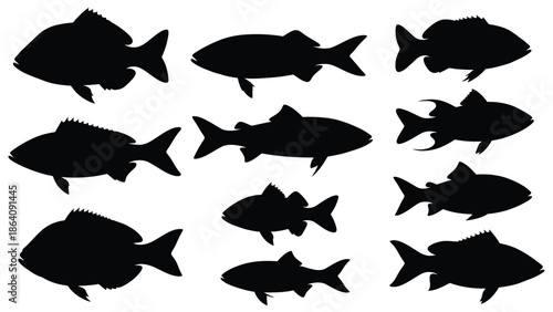 A collection of black fish silhouettes against a clean white background