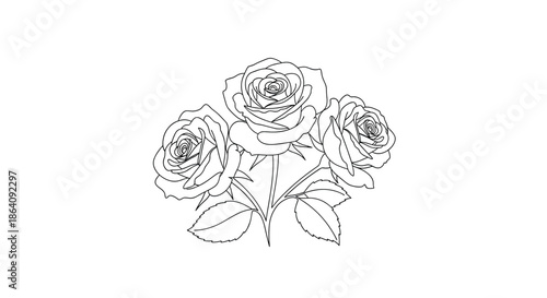 Elegant black and white line art drawing featuring a cluster of three blooming roses with leaves isolated on a white background.