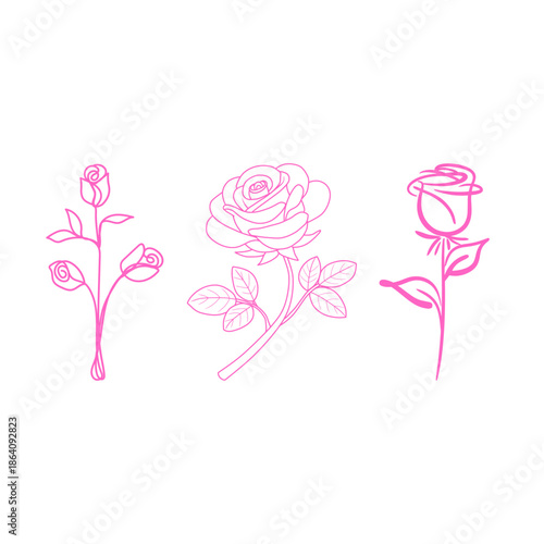 Pink Rose Line Art Illustration Set with Floral Botanical Sketches