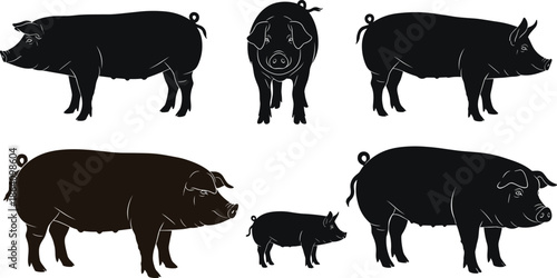 Pig silhouettes, farm animals, livestock illustration, side and front views, piglet and adult, black and white, agriculture concept, vector design