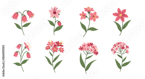 Set of eight lovely pink flower and blossom illustrations, designed in a simple, elegant, and slightly textured flat style.