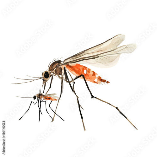 Mother Mosquito With Her Kid, beautiful watercolor illustration with vivid colors and detailed vector style, isolated on a white background.