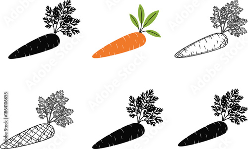 Carrot illustration set featuring hand drawn vegetable styles, organic food concepts, and natural farming designs