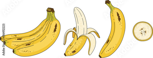 Banana fruit vector illustration set with whole peeled and sliced bananas isolated on white background