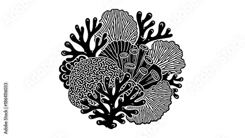 Coral reef ecosystem illustration in woodcut style, black and white underwater sea life vector.