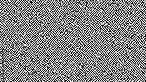 Intricate black and white seamless pattern resembling a complex maze or organic cellular structures, ideal for abstract backgrounds and modern design projects.