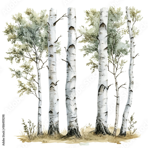 Birch Tree, watercolor vector portraying a joyful pose with colorful highlights, isolated on a white background.