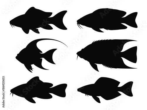 Six different fish silhouettes isolated on white background, Vector, illustration