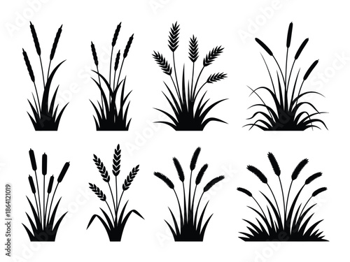 Collection of silhouetted grass plants isolated on white background, Vector, illustration