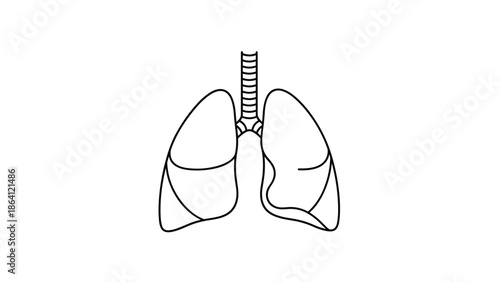 Simple black and white line art illustration of human lungs and trachea, a clean and minimalist icon for medical, health, and respiratory system concepts.