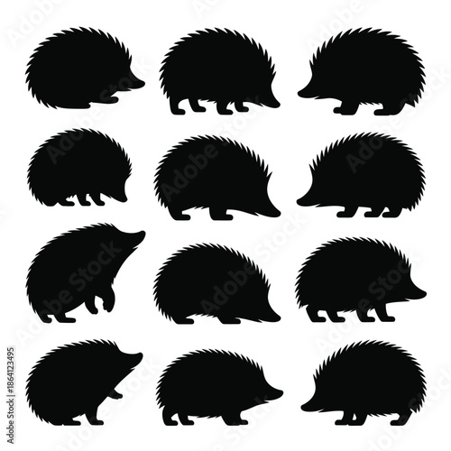 Collection of hedgehog silhouettes isolated on white background, Vector, illustration