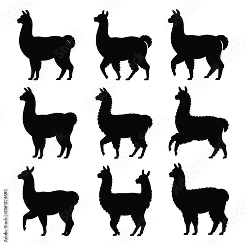 Collection of llama silhouettes isolated on white background, Vector, illustration