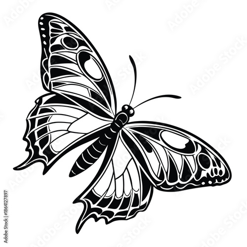 Black and white butterfly vector illustration with detailed wings on a clean white background