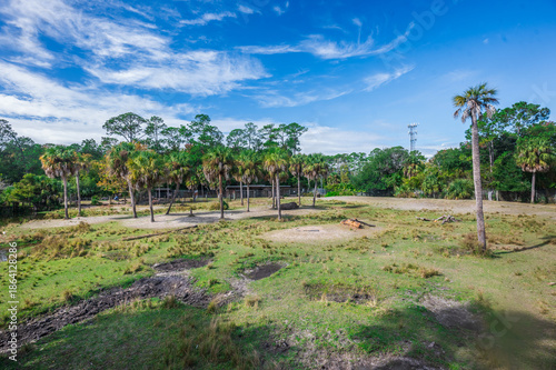 Where giants walk the earth, Jacksonville Zoo, Jacksonville, Florida, United States of America