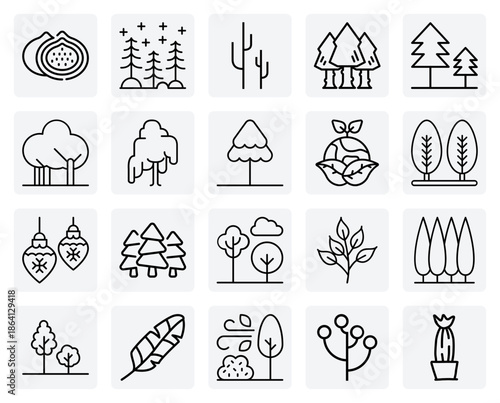 Global Flora And Tree Diversity – Including Eucalyptus, Tamarind, And Norway Spruce For Environmental And Geographic Projects