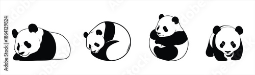 Adorable black and white panda bear illustrations in various charming poses and postures