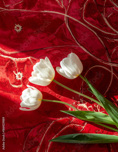 White tulip flowers on red fabric background