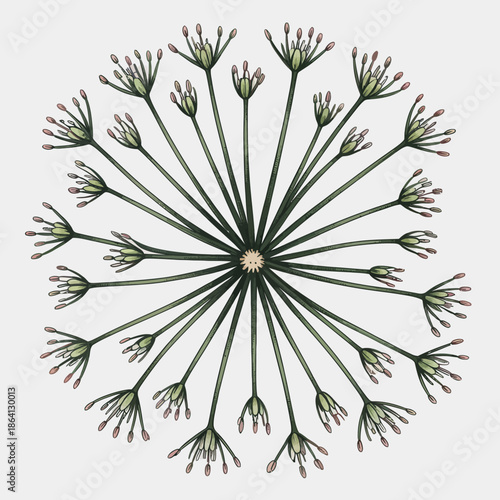 A whimsical illustration of flower clusters showcases beautiful buds and vibrant colors, representing the joy of gardening, nature's beauty, and the playful spirit of blossoms in bloom.