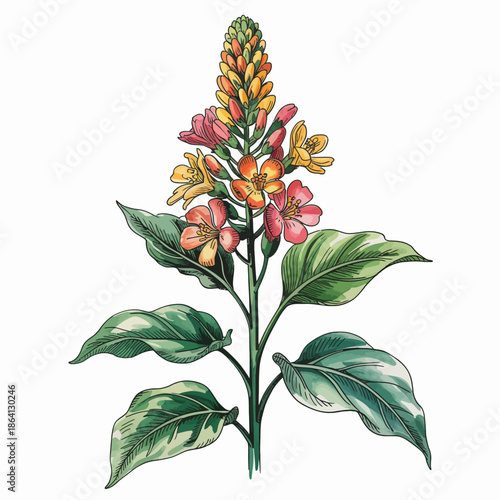 This striking illustration captures a vibrant floral arrangement with blossoms in vivid colors, showcasing nature's beauty and intricate details for artistic inspiration.