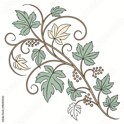 Elegant vine with leaves and grapes