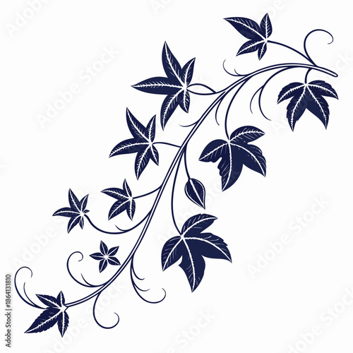 Elegant vine with leaves
