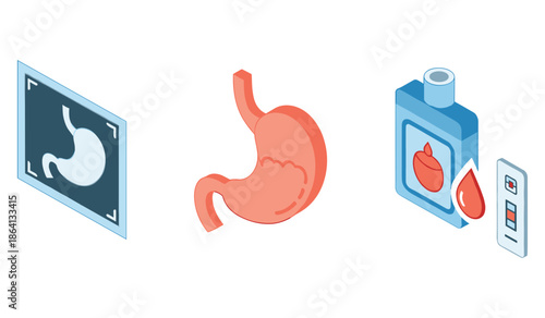 Gastrointestinal health: stomach x-ray, organ illustration, and medical testing kit