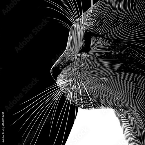 Black and white cat illustration profile view feline art pet animal whiskers domestic kitty graphic design 100