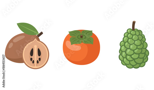 Illustration of sapodilla, persimmon, and custard apple on white background