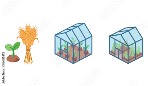 Greenhouse growth and harvest: plants, wheat, and seedlings