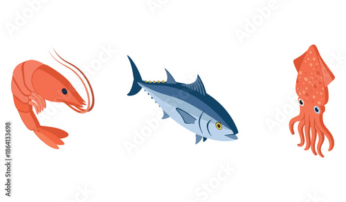 Illustration of shrimp, tuna, and squid on white background
