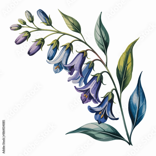 An exquisite illustration of bluebell flowers, beautifully detailed with lush leaves, capturing the elegance and beauty of nature perfect for art and floral enthusiasts.