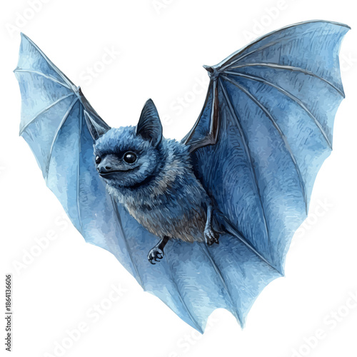 watercolor of Bat illustration graphic, isolated on a white background.