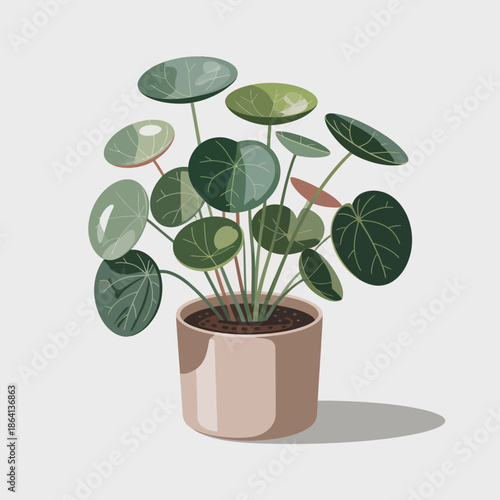 A lush pilea plant in a stylish pot brightens any space, symbolizing growth, vitality, and the trend of integrating greenery into urban living spaces and home decor.