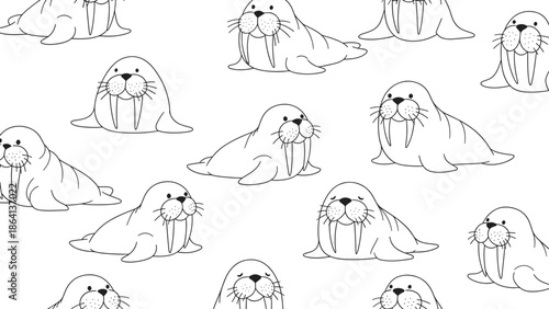 Collection of cute hand drawn walrus faces and poses