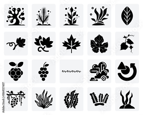 Marine Botany And Algae Species – A Visual Guide To Various Types Of Seaweed Found In The Ocean'S Ecosystem