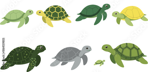 Cute turtle and sea turtle characters set in different colors cartoon reptile vector illustration