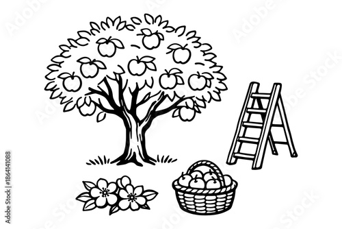Harvest season: apple tree, basket, and ladder in black and white outline