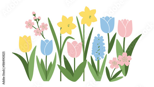 Bild auf Leinwand Colorful Spring Flower Collection, Tulips, Hyacinths, and Daffodils with Green L